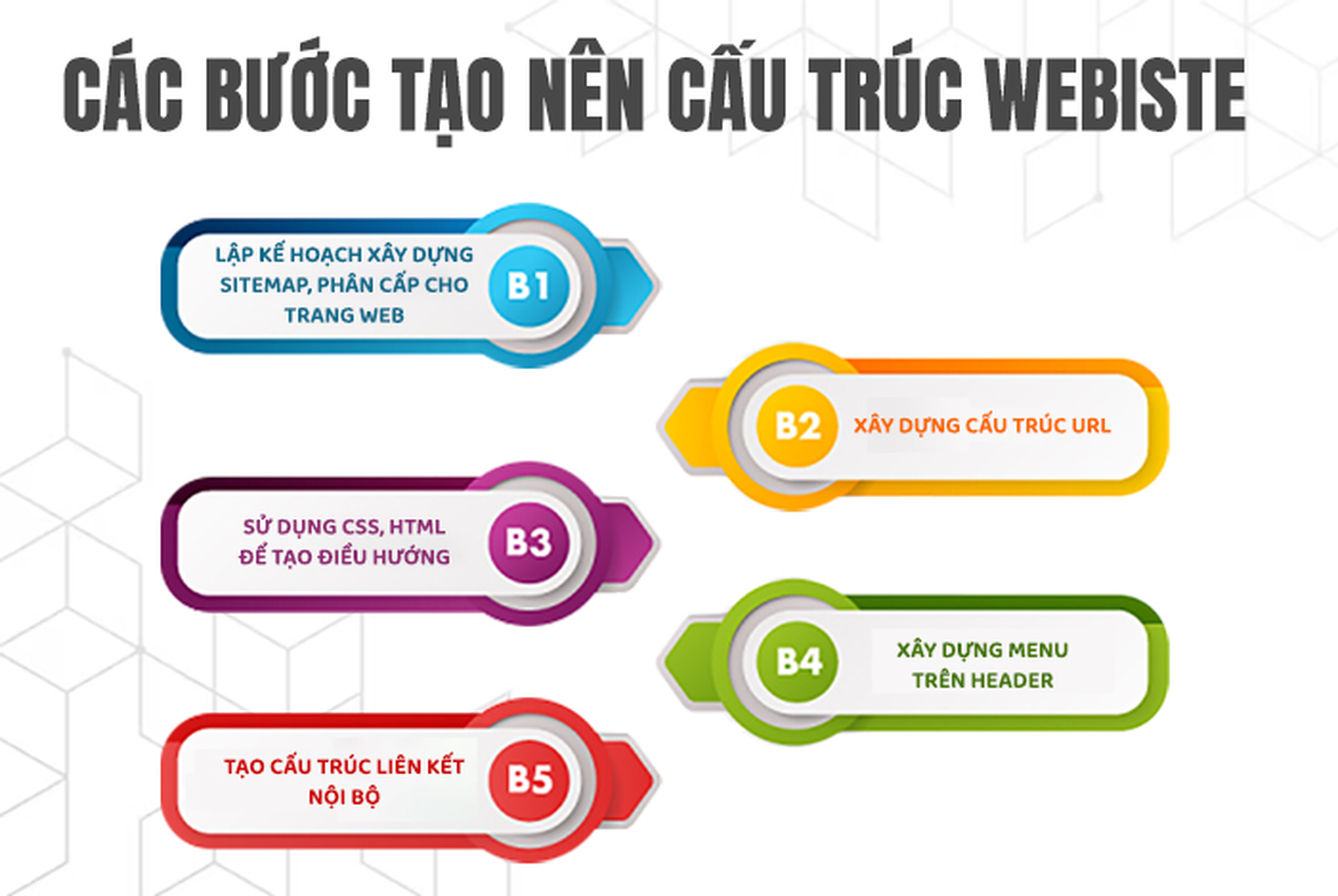 Các bước cấu trúc website